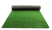 Synthetic Grass Living image 4